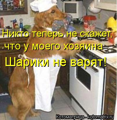 что у моего хозяина Шарики не варят! Никто теперь не скажет,... Котоматрица: что у моего хозяина Шарики не варят! Никто теперь не скажет,