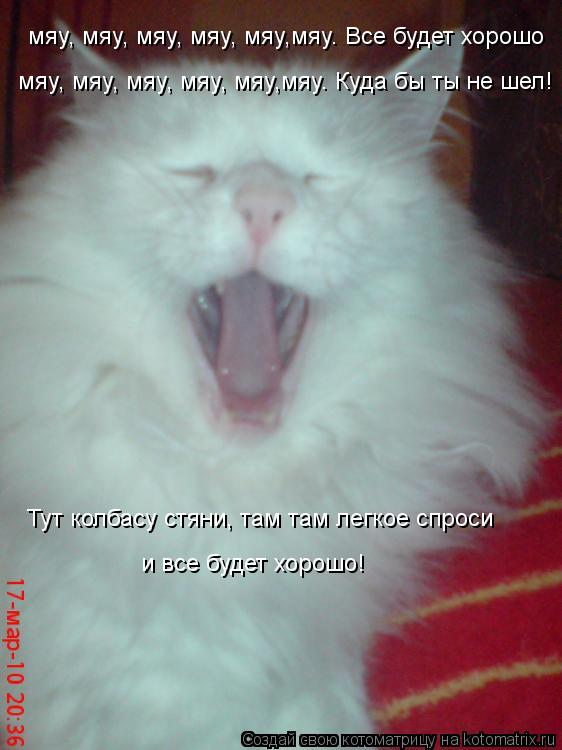 мяу, мяу, мяу, мяу, мяу,мяу. Все будет хорошо мяу, мяу, мяу, мяу, мяу,мяу. Куда бы ты не шел! Тут кол... Котоматрица: мяу, мяу, мяу, мяу, мяу,мяу. Все будет хорошо мяу, мяу, мяу, мяу, мяу,мяу. Куда бы ты не шел! Тут колбасу стяни, там там легкое спроси и все будет х