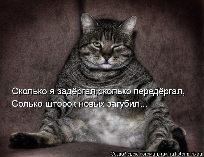 Сколько я задёргал,сколько передёргал, Солько шторок новых загубил...... Котоматрица: Сколько я задёргал,сколько передёргал, Солько шторок новых загубил...
