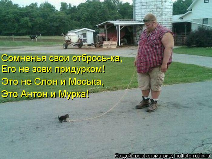 Котоматрица: Сомненья свои отбрось-ка, Его не зови придурком! Это не Слон и Моська,  Это Антон и Мурка!