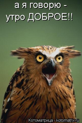 Котоматрица: а я говорю -  утро ДОБРОЕ!!