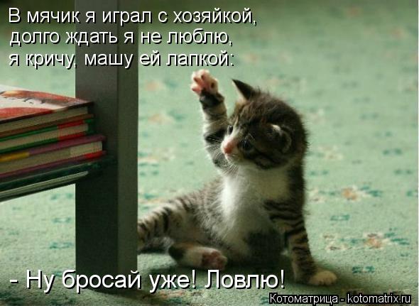 В мячик я играл с хозяйкой, долго ждать я не люблю, я кричу, машу ей лапкой: - Ну бросай уже! Ловлю!... Котоматрица: В мячик я играл с хозяйкой, долго ждать я не люблю, я кричу, машу ей лапкой: - Ну бросай уже! Ловлю!