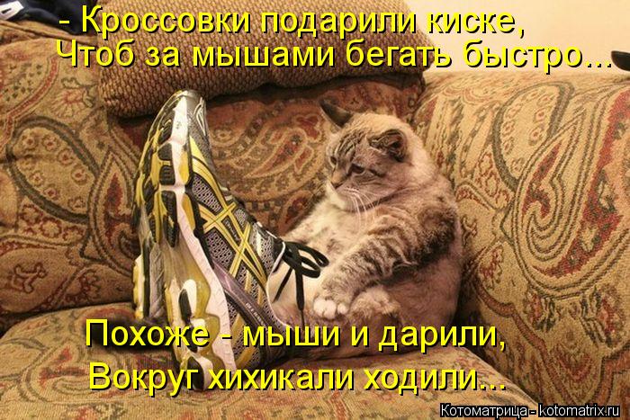 - Кроссовки подарили киске, Чтоб за мышами бегать быстро... Похоже - мыши и дарили, Вокруг хихикали х... Котоматрица: - Кроссовки подарили киске, Чтоб за мышами бегать быстро... Похоже - мыши и дарили, Вокруг хихикали ходили...