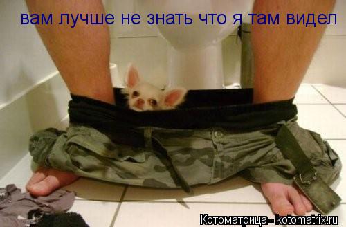 вам лучше не знать что я там видел... Котоматрица: вам лучше не знать что я там видел