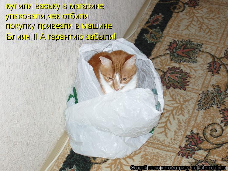 Упаковали,чек отбили покупку привезли в машине купили ваську в