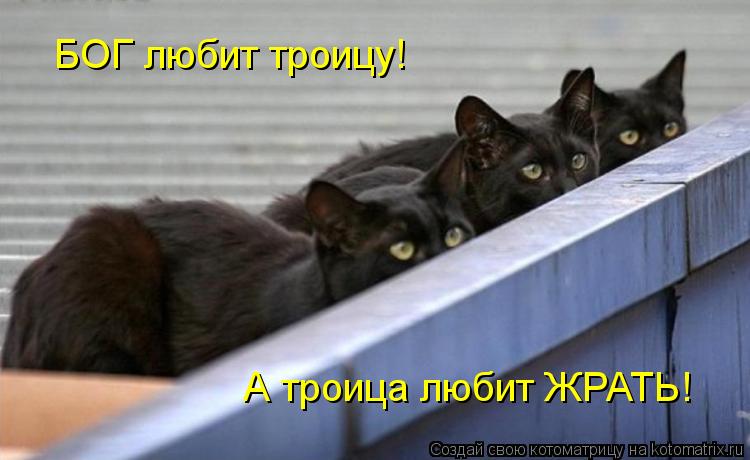 Котоматрица: БОГ любит троицу! А троица любит ЖРАТЬ!