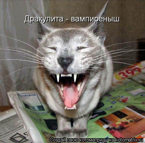 Дракулита - вампиреныш... Котоматрица: Дракулита - вампиреныш