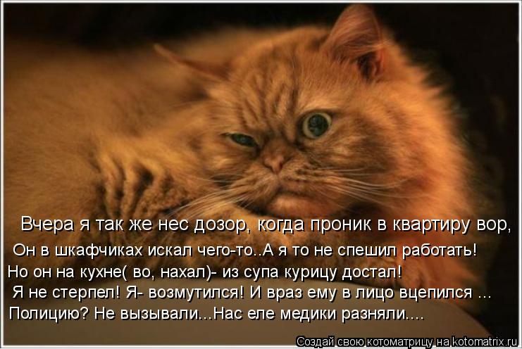 Вчера я так же нес дозор, когда проник в квартиру вор, Он в шкафчиках искал чего-то..А я то не спешил... Котоматрица: Вчера я так же нес дозор, когда проник в квартиру вор, Он в шкафчиках искал чего-то..А я то не спешил работать! Я не стерпел! Я- возмутился! И вр