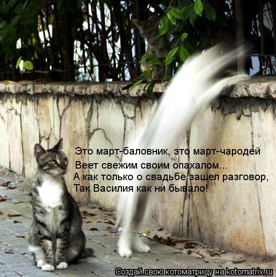 Котоматрица: Это март-баловник, это март-чародей Веет свежим своим опахалом... Так Василия как ни бывало! А как только о свадьбе зашел разговор,