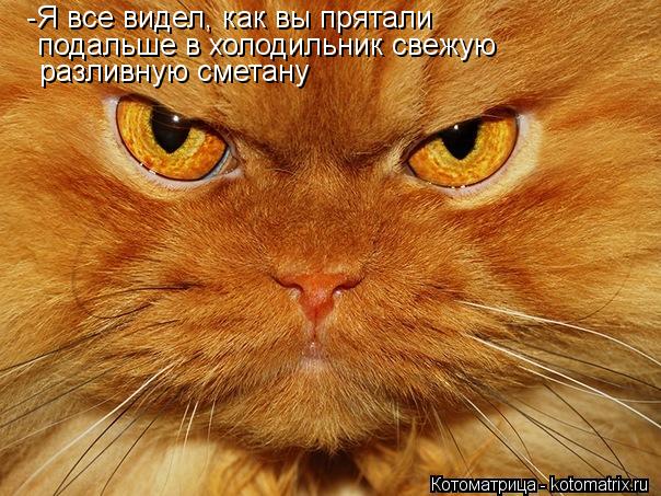 -Я все видел, как вы прятали подальше в холодильник свежую разливную сметану... Котоматрица: -Я все видел, как вы прятали подальше в холодильник свежую разливную сметану