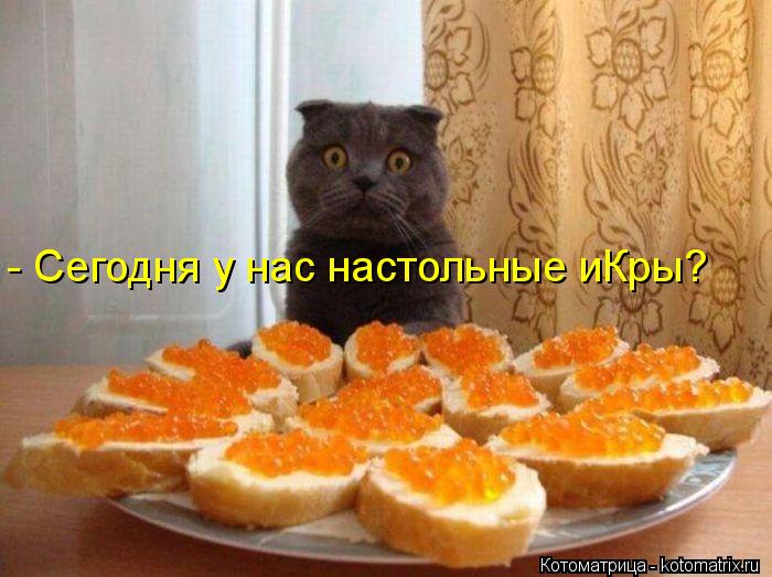 - Сегодня у нас настольные иКры?... Котоматрица: - Сегодня у нас настольные иКры?