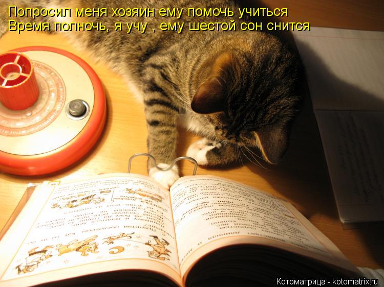 Котоматрица: Попросил меня хозяин ему помочь учиться Время полночь, я учу , ему шестой сон снится