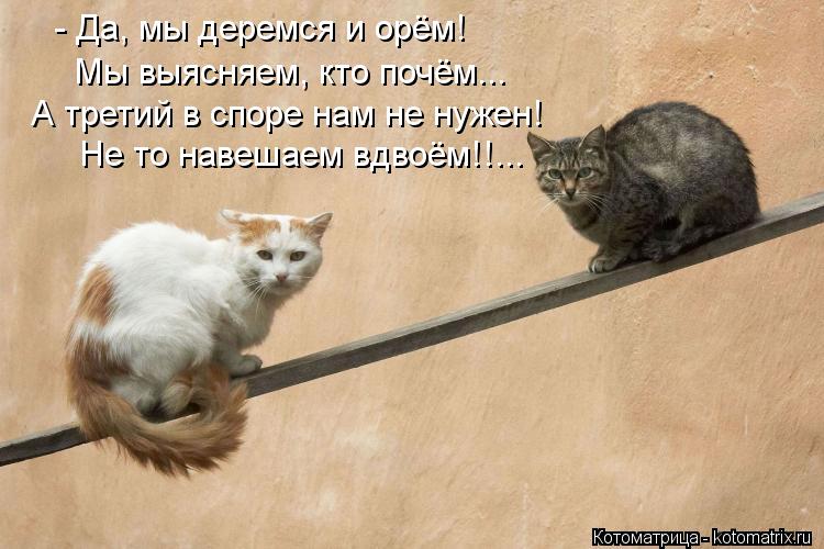 - Да, мы деремся и орём! Мы выясняем, кто почём... А третий в споре нам не нужен! Не то навешаем вдво... Котоматрица: - Да, мы деремся и орём! Мы выясняем, кто почём... А третий в споре нам не нужен! Не то навешаем вдвоём!!...