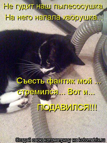 Не гудит наш пылесосушка, На него напала хворушка... Съесть фантик мой ... стремился... Вот и... ПОДА... Котоматрица: Не гудит наш пылесосушка, На него напала хворушка... Съесть фантик мой ... стремился... Вот и... ПОДАВИЛСЯ!!!