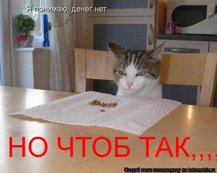Я понимаю, денег нет НО ЧТОБ ТАК,,,,,... Котоматрица: Я понимаю, денег нет НО ЧТОБ ТАК,,,,,
