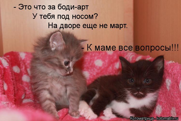 Котоматрица: У тебя под носом? - Это что за боди-арт На дворе еще не март. - К маме все вопросы!!!