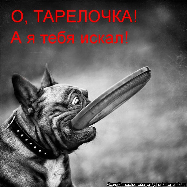О, ТАРЕЛОЧКА! А я тебя искал!... Котоматрица: О, ТАРЕЛОЧКА! А я тебя искал!