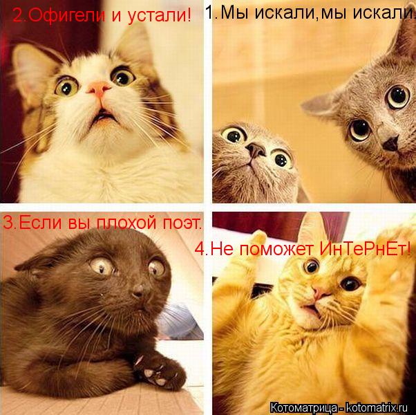 1.Мы искали,мы искали. 2.Офигели и устали! 3.Если вы плохой поэт. 4.Не поможет ИнТеРнЕт!... Котоматрица: 1.Мы искали,мы искали. 2.Офигели и устали! 3.Если вы плохой поэт. 4.Не поможет ИнТеРнЕт!