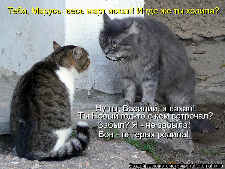 Котоматрица: Ну ты, Василий, и нахал! Ты Новый год-то с кем встречал? Забыл? Я - не забыла! Вон - пятерых родила! Тебя, Марусь, весь март искал! И где же ты ходи