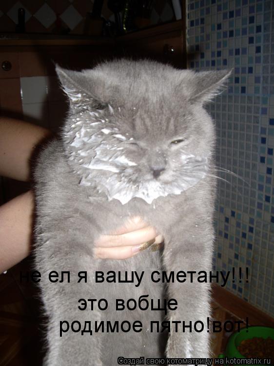 Картинки по запросу я не ел