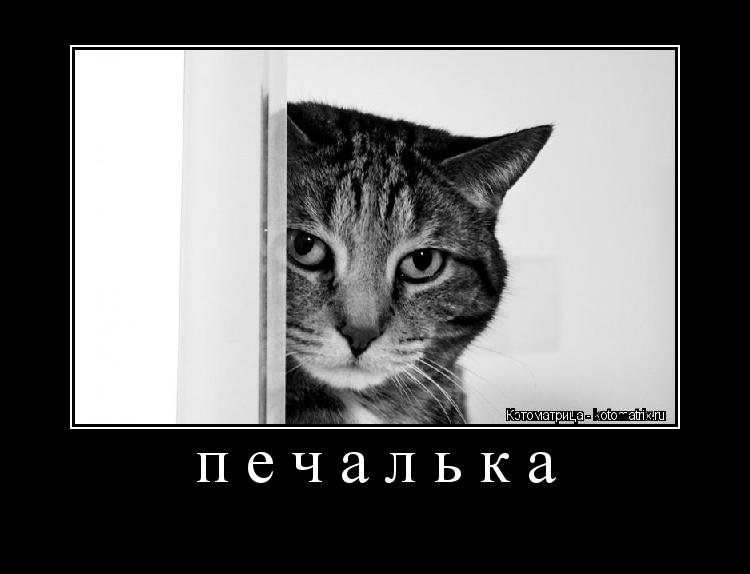 как выглядит зайкина печалька сорта