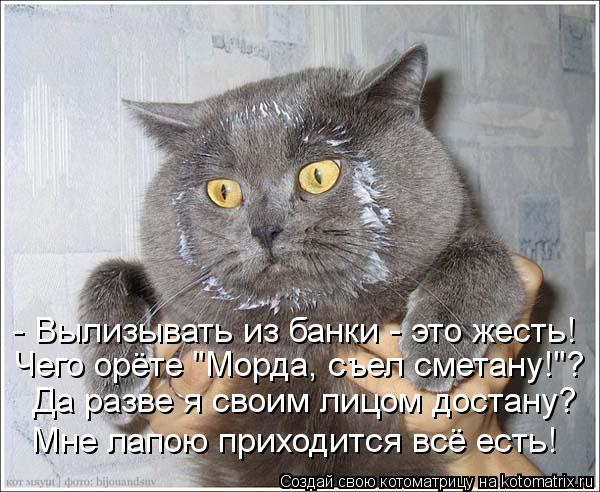 Котоматрица: - Вылизывать из банки - это жесть! Чего орёте "Морда, съел сметану!"? Да разве я своим лицом достану? Мне лапою приходится всё есть!