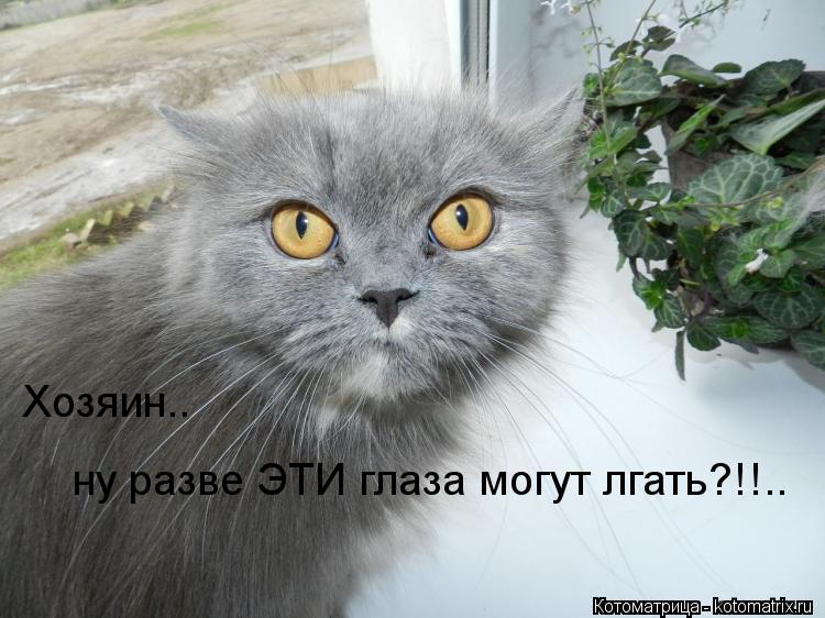 http://kotomatrix.ru/images/lolz/2012/10/07/kotomatritsa_mA.jpg
