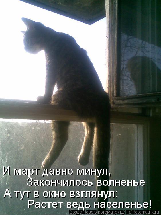 Котоматрица: Растет ведь населенье! Закончилось волненье А тут в окно взглянул: И март давно минул,