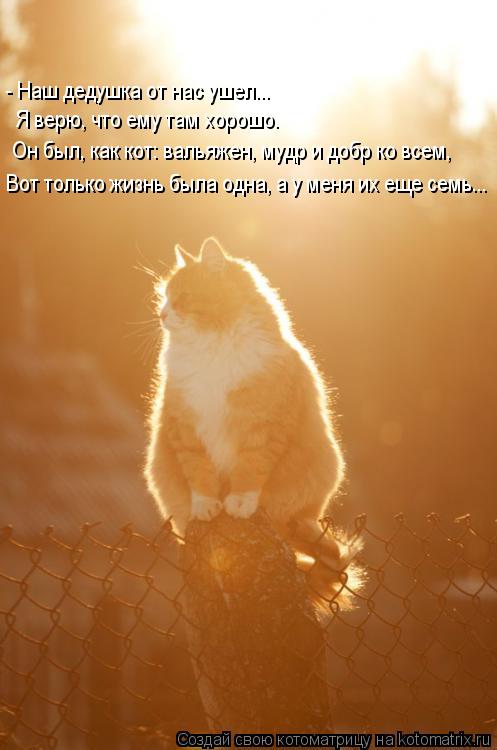 Вот только жизнь была одна, а у меня их еще семь... - Наш дедушка от нас ушел... Я верю, что ему там ... Котоматрица: Вот только жизнь была одна, а у меня их еще семь... - Наш дедушка от нас ушел... Я верю, что ему там хорошо. Он был, как кот: вальяжен, мудр и добр к