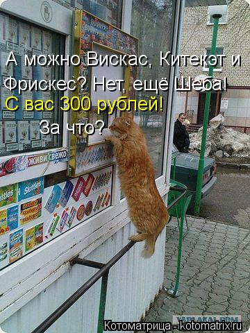 А можно Вискас, Китекэт и Фрискес? Нет, ещё Шеба! С вас 300 рублей! За что?... Котоматрица: А можно Вискас, Китекэт и Фрискес? Нет, ещё Шеба! С вас 300 рублей! За что?