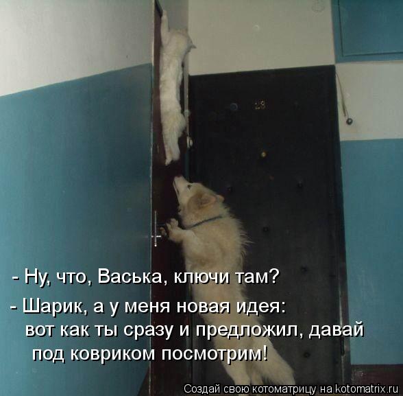 - Ну, что, Васька, ключи там? - Шарик, а у меня новая идея: вот как ты сразу и предложил, давай под ... Котоматрица: - Ну, что, Васька, ключи там? - Шарик, а у меня новая идея: вот как ты сразу и предложил, давай под ковриком посмотрим!