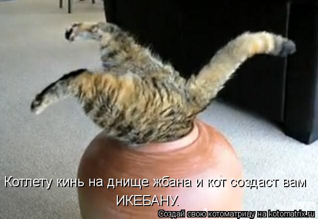 Котоматрица: Котлету кинь на днище жбана и кот создаст вам ИКЕБАНУ.