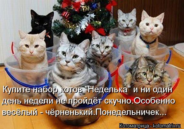 Котоматрица: Купите набор котов "Неделька" и ни один день недели не пройдёт скучно.Особенно весёлый - чёрненький.Понедельничек...