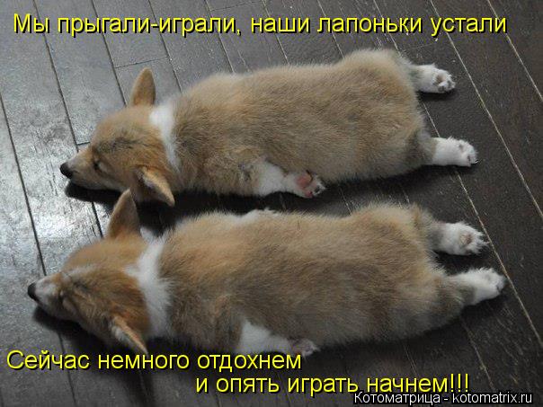 Посмеялся сам - поделись с другом!!!