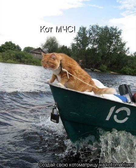 Кот МЧС!... Котоматрица: Кот МЧС!
