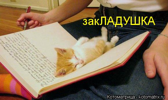 Котоматрица: закЛАДУШКА