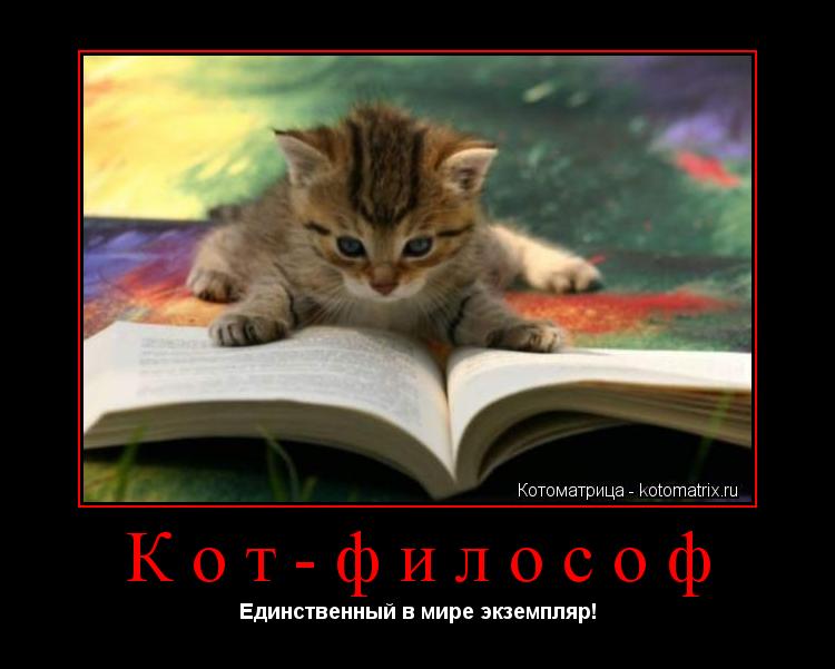 Кот-философ Единственный в мире экземпляр!... Котоматрица: Кот-философ Единственный в мире экземпляр!