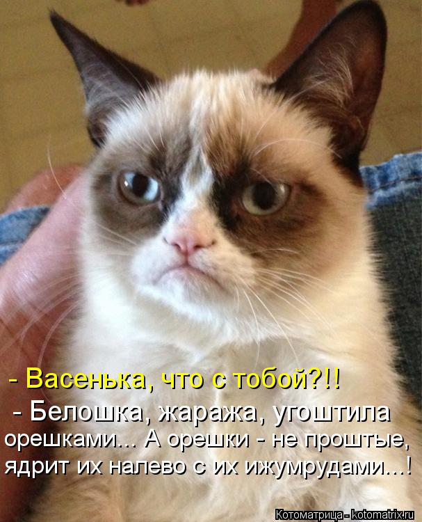 - Васенька, что с тобой?!! - Белошка, жаража, угоштила орешками... А орешки - не проштые, ядрит их на... Котоматрица: - Васенька, что с тобой?!! - Белошка, жаража, угоштила орешками... А орешки - не проштые, ядрит их налево с их ижумрудами...!