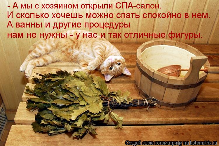 - А мы с хозяином открыли СПА-салон. И сколько хочешь можно спать спокойно в нем. А ванны и другие пр... Котоматрица: - А мы с хозяином открыли СПА-салон. И сколько хочешь можно спать спокойно в нем. А ванны и другие процедуры нам не нужны - у нас и так отличные