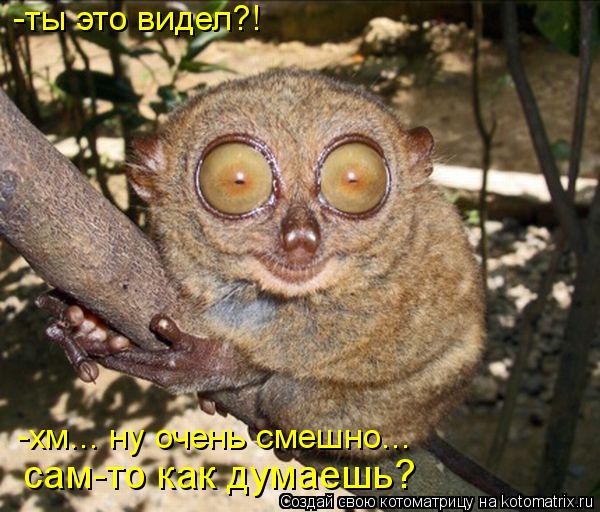 -ты это видел?! -хм... ну очень смешно... сам-то как думаешь?... Котоматрица: -ты это видел?! -хм... ну очень смешно... сам-то как думаешь?