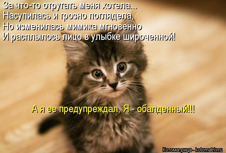 Котоматрица: Но изменилась мимика мгновенно За что-то отругать меня хотела... Насупилась и грозно поглядела, И расплылось лицо в улыбке широченной! А я ее