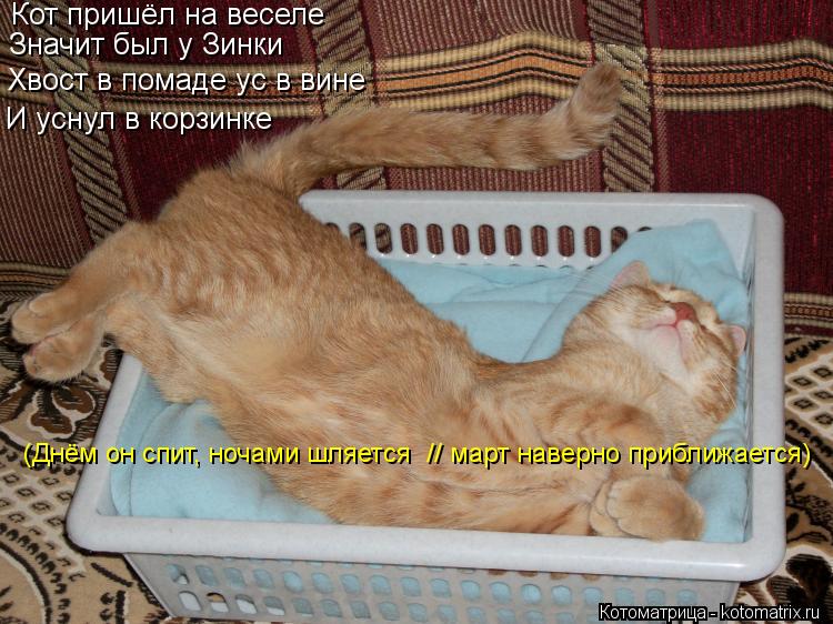 Котоматрица: Кот пришёл на веселе Значит был у Зинки Хвост в помаде ус в вине И уснул в корзинке (Днём он спит, ночами шляется  // март наверно приближается