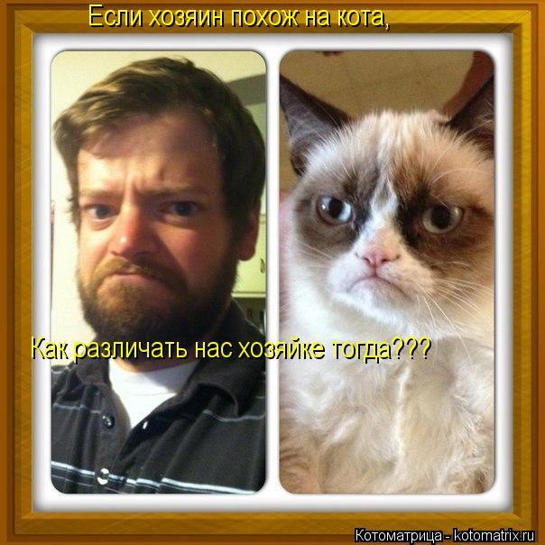 Котоматрица: Если хозяин похож на кота, Как различать нас хозяйке тогда???