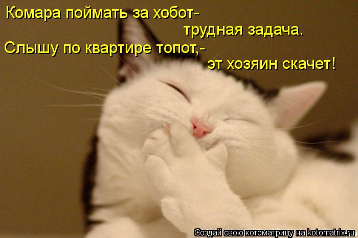 Комара поймать за хобот- трудная задача. Слышу по квартире топот,- эт хозяин скачет!... Котоматрица: Комара поймать за хобот- трудная задача. Слышу по квартире топот,- эт хозяин скачет!