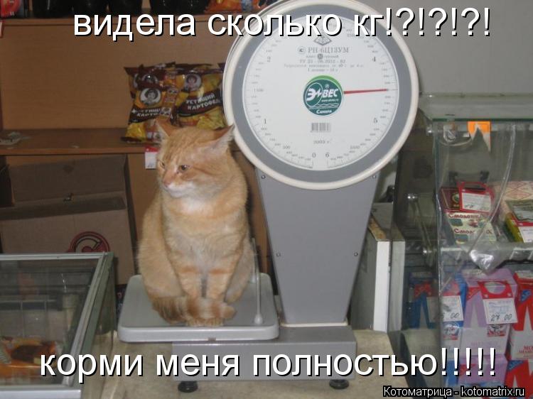 видела сколько кг!?!?!?! корми меня полностью!!!!!... Котоматрица: видела сколько кг!?!?!?! корми меня полностью!!!!!