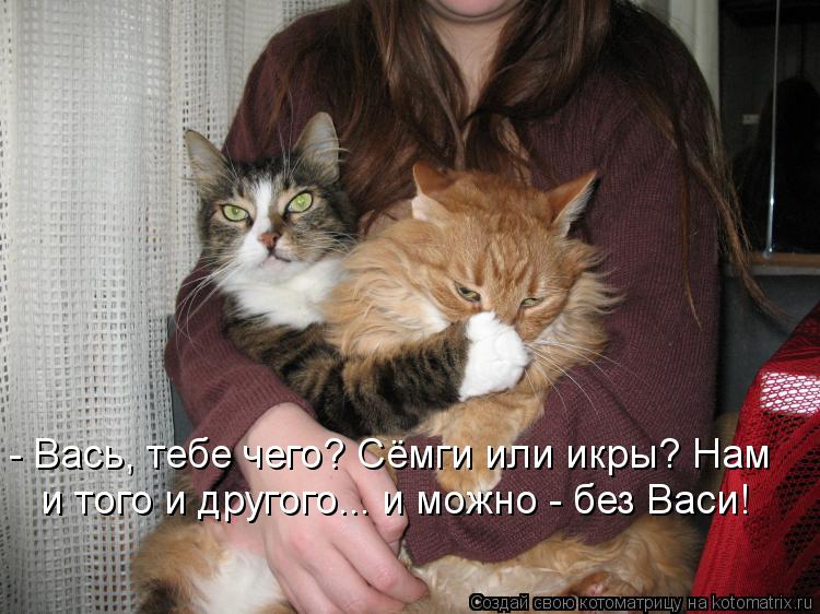 - Вась, тебе чего? Сёмги или икры? Нам и того и другого... и можно - без Васи!... Котоматрица: - Вась, тебе чего? Сёмги или икры? Нам и того и другого... и можно - без Васи!