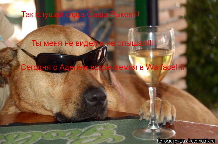 Так слушай сюда Саша Рыков!!! Ты меня не видел и не слышал!!!! Сегодня с Аделем встречаемся в Warface... Котоматрица: Так слушай сюда Саша Рыков!!! Ты меня не видел и не слышал!!!! Сегодня с Аделем встречаемся в Warface!!!!