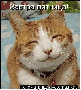 Завтра пятница!... Котоматрица: Завтра пятница!