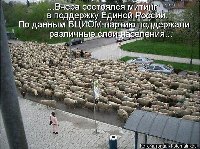 Котоматрица: ...Вчера состоялся митинг  в поддержку Единой России. По данным ВЦИОМ партию поддержали различные слои населения...