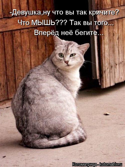 Котоматрица: -Девушка,ну что вы так кричите? Вперёд неё бегите... Что МЫШЬ??? Так вы того...